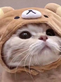 恋爱观