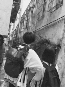 为你包容整个世界