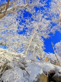 冰晶王国