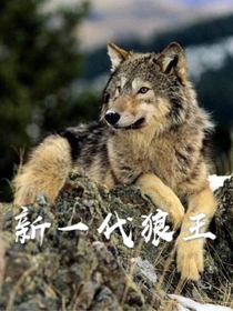 新一代狼王