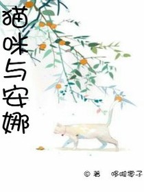 猫咪与安娜