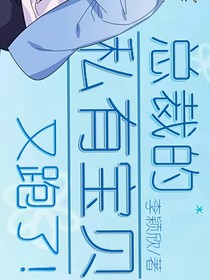 总裁的私有宝贝又跑了！