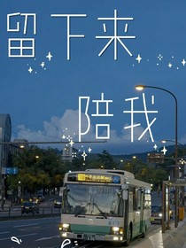 斑马纹——d976