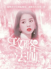 NPC：攻略法则