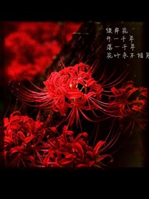 龙王：堕落丛生