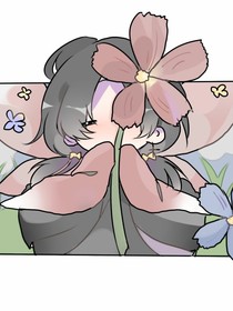 第五人格：蝶恋花