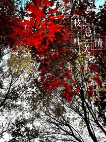 一枝一叶总关情