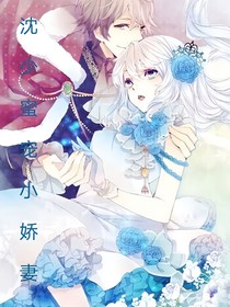 沈少蜜宠小娇妻
