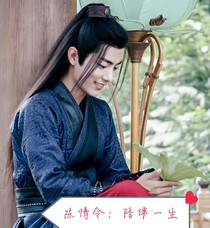 陈情令：陪伴一生-d857