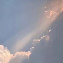 這個末世有女王