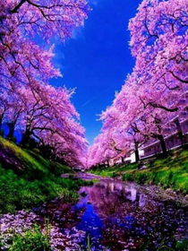 4月13日