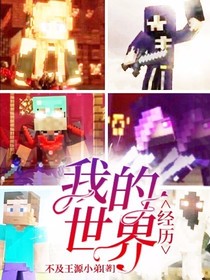 我的世界：经历