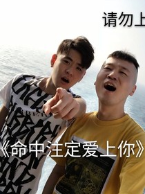 命中注定让爱上你