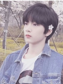 芒果千層
