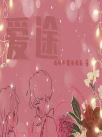 爱途