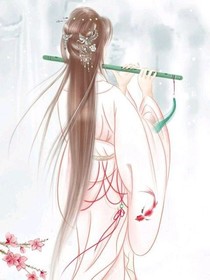 雪羽泪