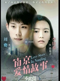 小欢喜3之凡英