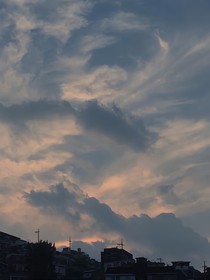TNT霁月