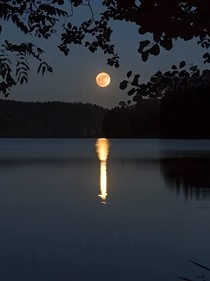 德雲社：貫口