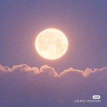 漫阳