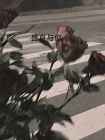 盛夏与你