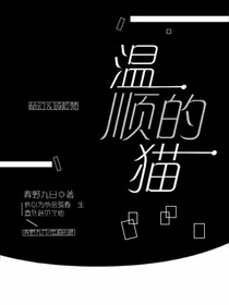 温顺的猫