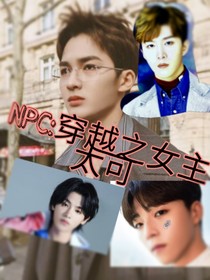 NPC：穿越之女主太可