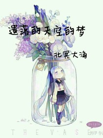 遗落到天空的梦