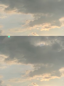 卿歌共余年