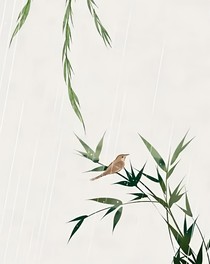 眉眼生姿將軍夫人是閨秀
