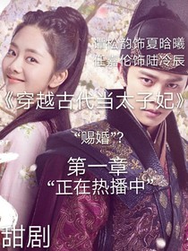 穿越古代成太子妃