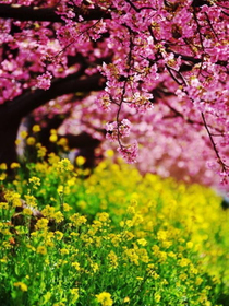 4月19日