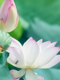 莫名的圖片