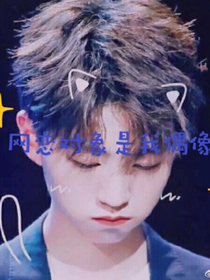 網(wǎng)戀對(duì)象是我偶像