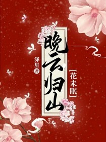 晚云归山花未眠