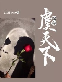 综穿：虞天下