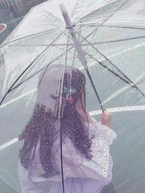 新星训练营