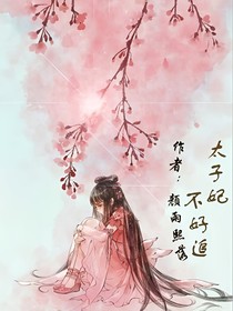 太子妃不好追