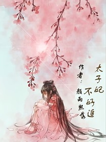 太子妃不好追