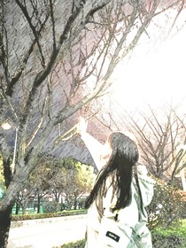 成长中的一盏明灯