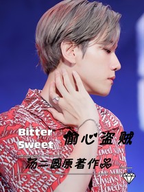 偷心盗贼！——d347