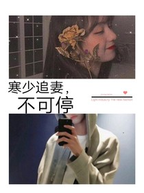 寒少追妻，不可停