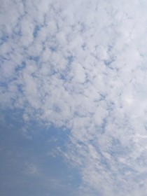 主人，我不敢了——d475