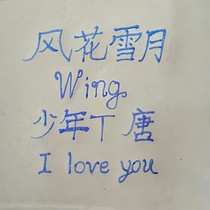 查理九世之羽翼回歸