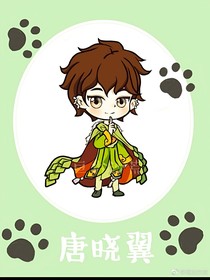 查理九世之少年归来
