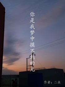 你是我梦中摸不到的光