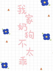 我家奶狗不太乖