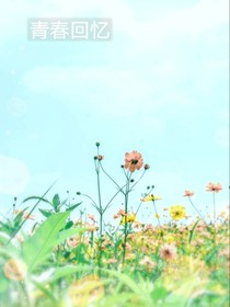 祁青柠杉