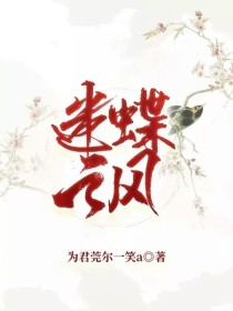 迷蝶之风