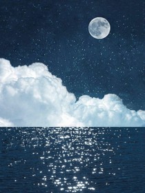 我的星星落在海里